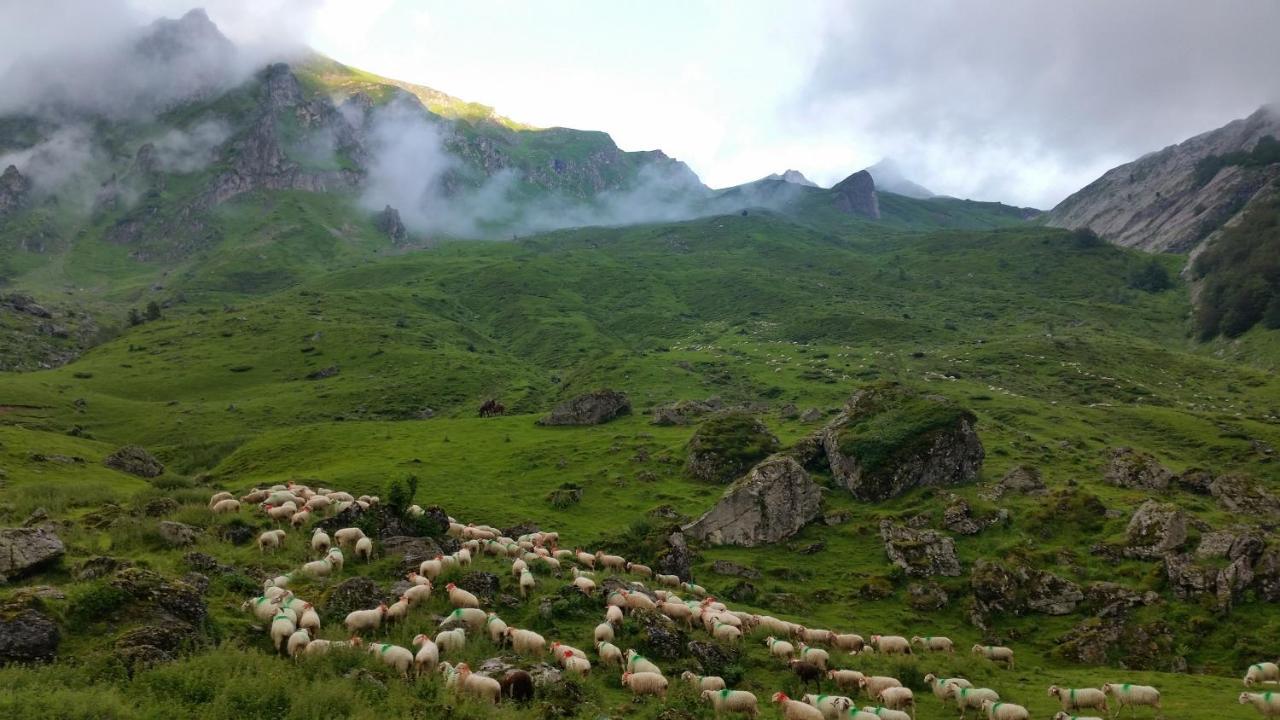 Gite De Montagne Du Plateau De Lhers- Accueil Randonneurs Accous 외부 사진