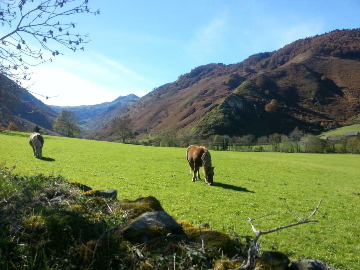 Gite De Montagne Du Plateau De Lhers- Accueil Randonneurs Accous 외부 사진