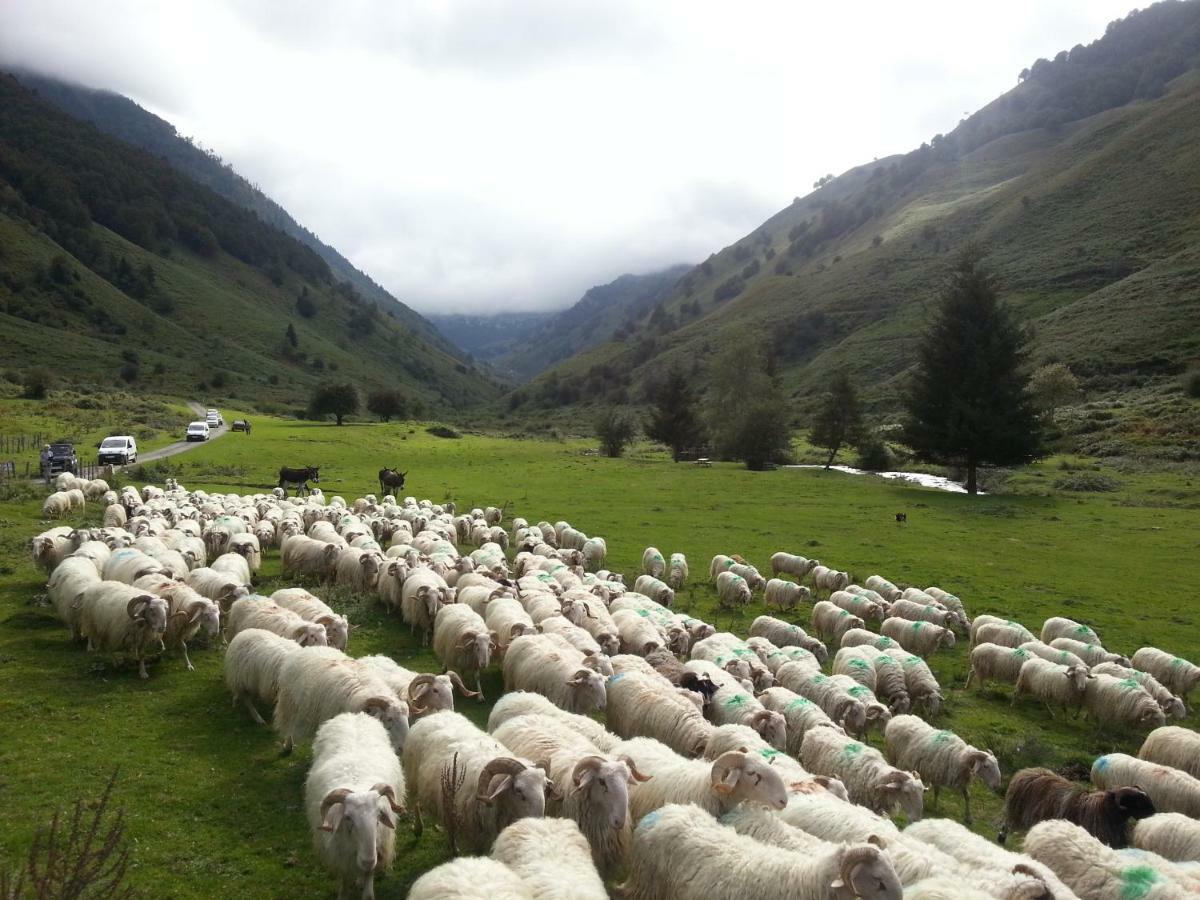 Gite De Montagne Du Plateau De Lhers- Accueil Randonneurs Accous 외부 사진